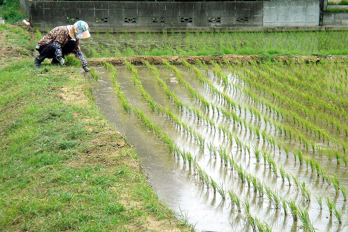 This Week in Water for April 20, 2025