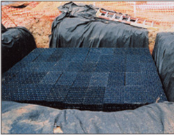 Rick Walker, Rain Catchers - President