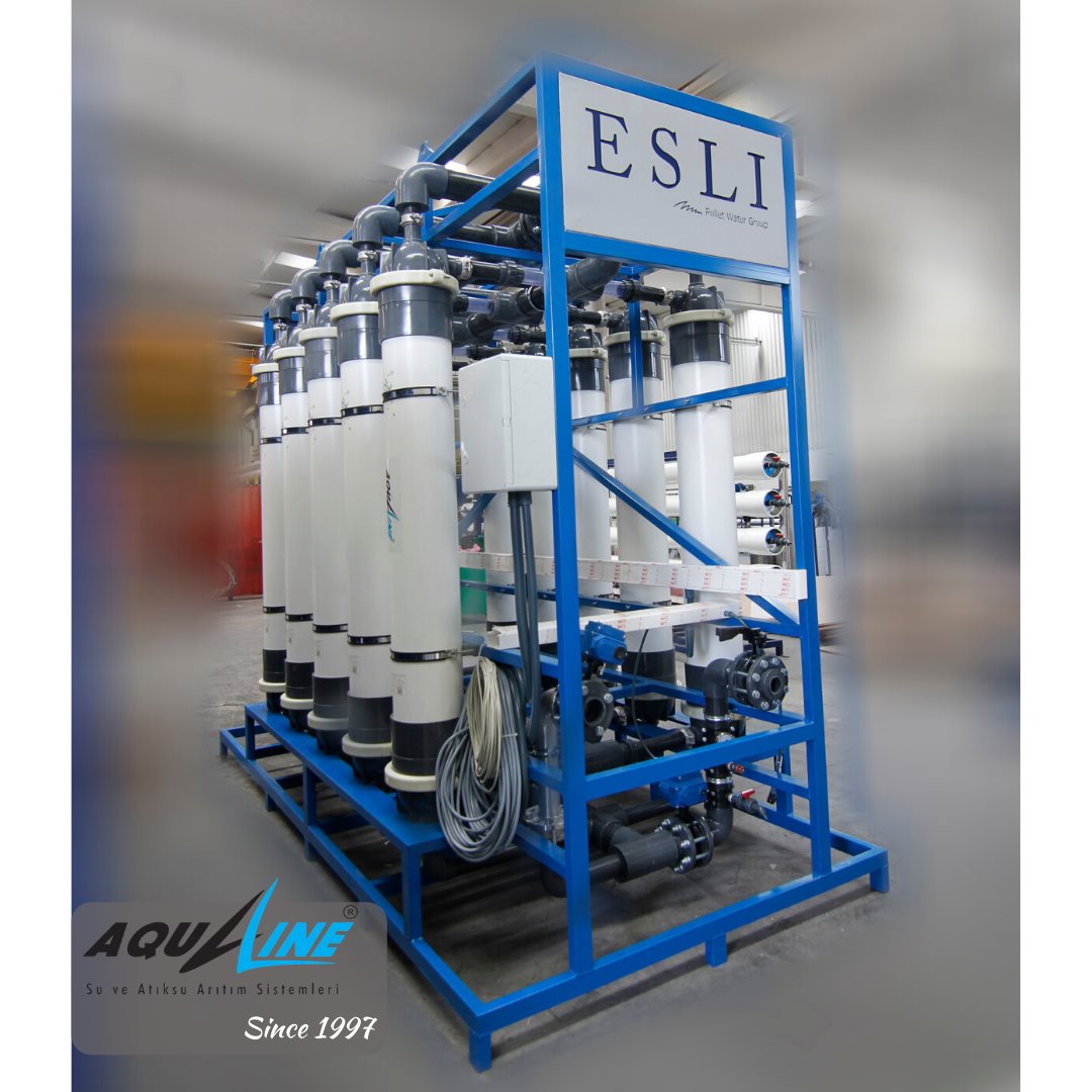 Esli Pollet Water Group