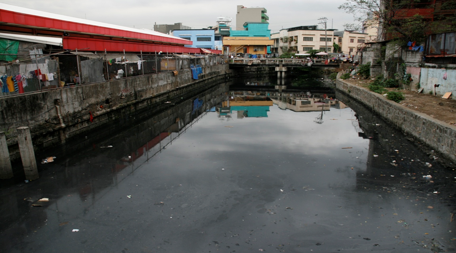 Floating ecosystems