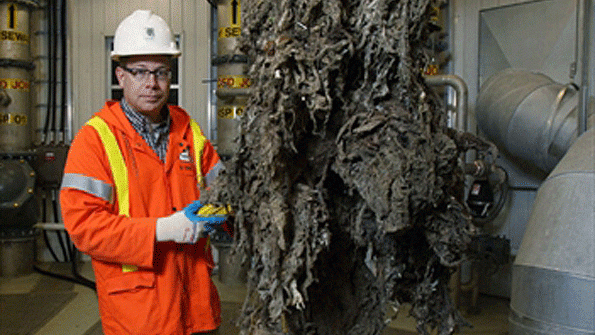 Fight Against ‘Flushable’ Wipes Steps To Recovering Cost From Manufacturers