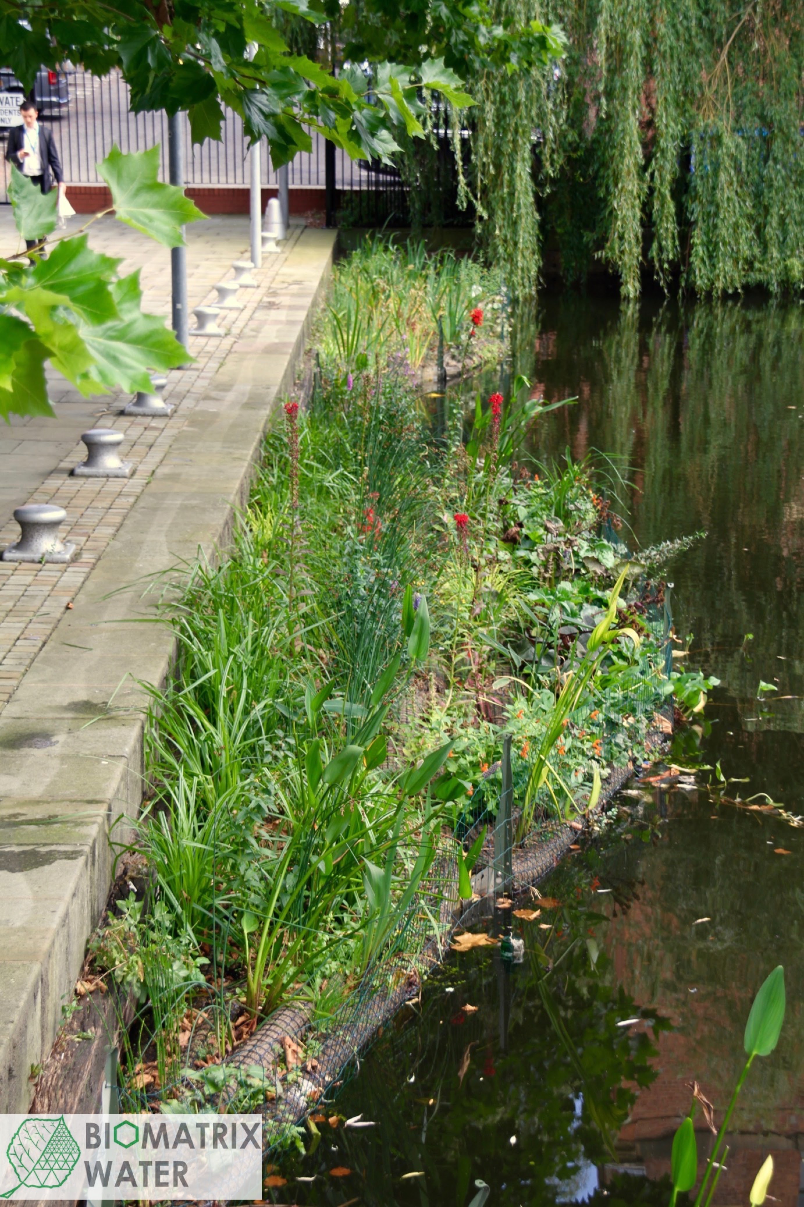 Floating ecosystems