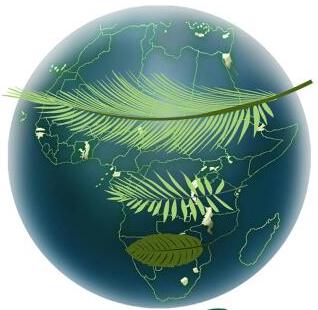 Feli Esau Ubebu, OLESDK - Coordinator and Contact Focal Point Civil Oberver UN-FCCC