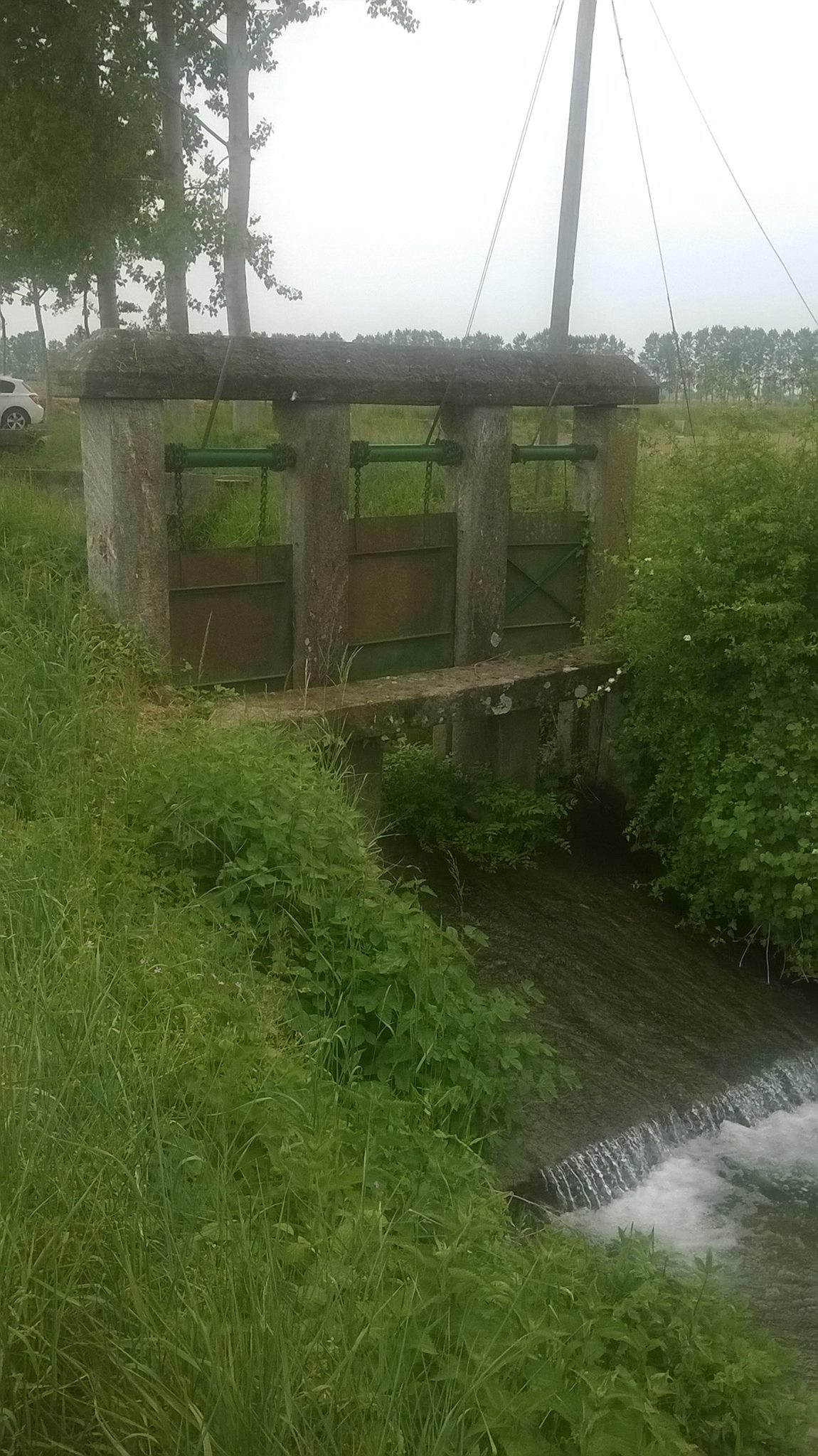 Loving hydraulics