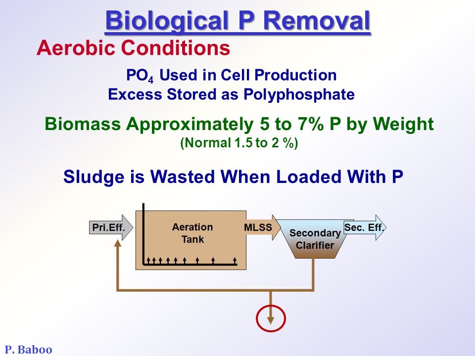 The removal of nitrogen and ...