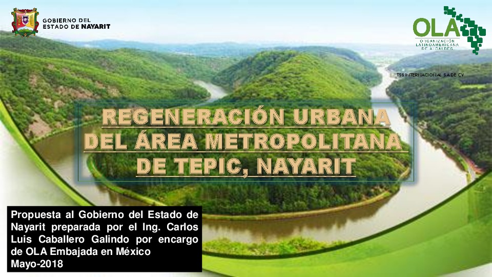 CARLOS LUIS CABALLERO, CEO & Innovation Director at Carlos Luis Caballero