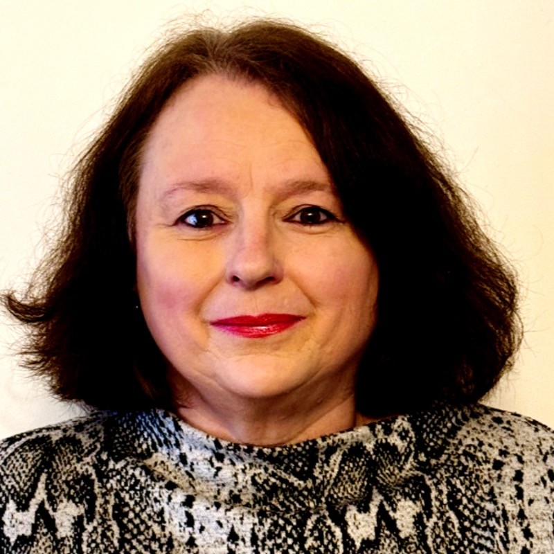 Diana Davidson, Managing Director at Vertemis Ltd