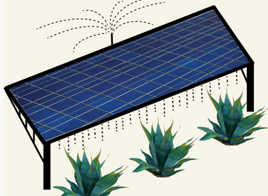 UAE Offers Award for Clean Water Solar Solution