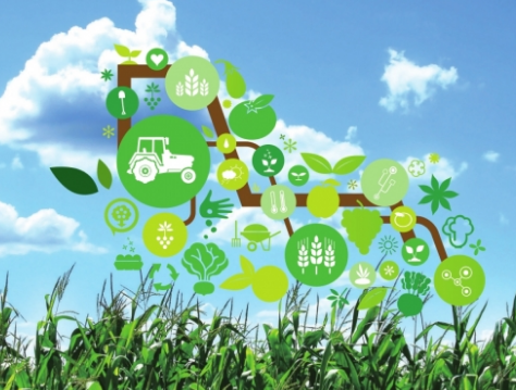 IoT Startups That Are Reshaping Agriculture