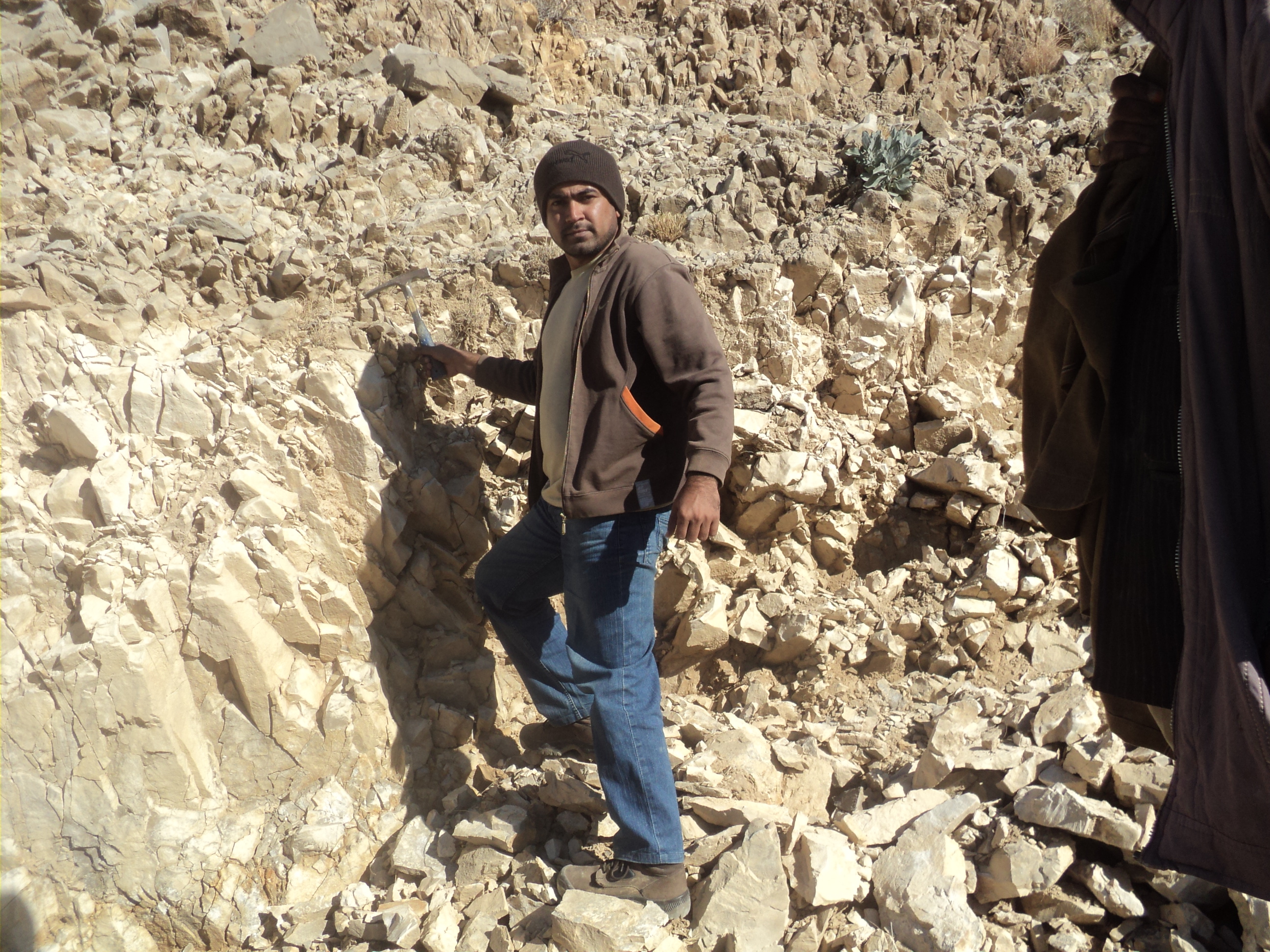 hassan nasir, Geological Survey of Pakistan - Assistant Director