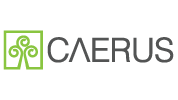 Caerus Associates