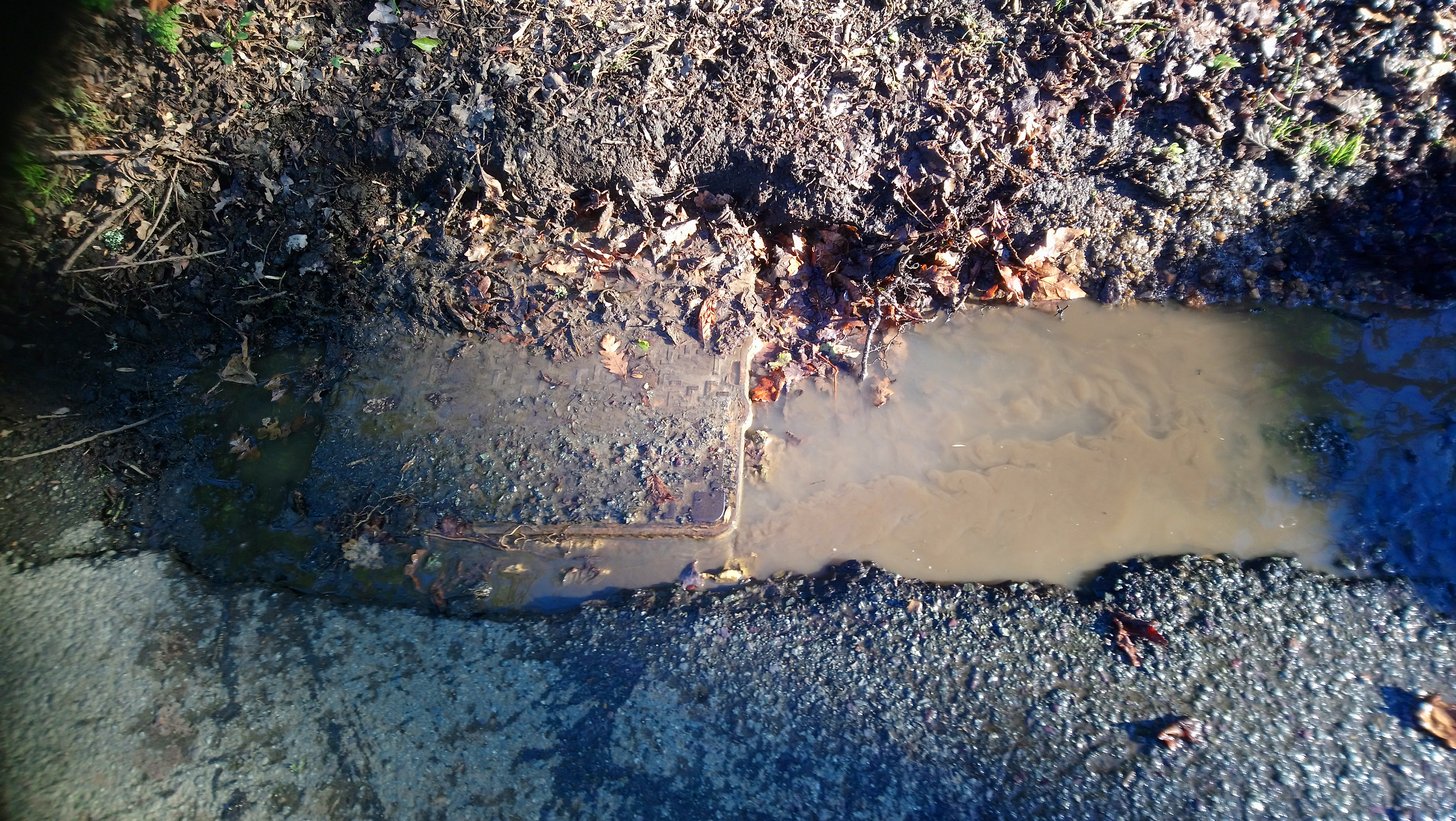 Leakage