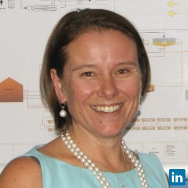 Alice Punt, Head: Specialist Civil Engineering Services and Projects