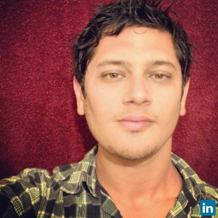 León Mayoral Alonso, Ingeniero Ambiental