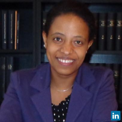 Freweyni Kidane, Research Assistant at UvA