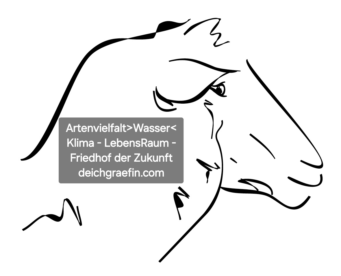 Deichgräfin V D Küste, Deichgräfin - Marketing