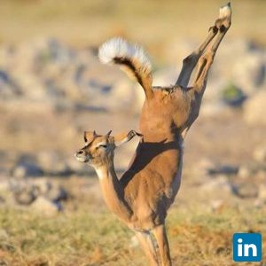 Hagar Dighiesh, Assistant Researcher at The National Institute of Oceanography and Fisheries, Aquaculture Division