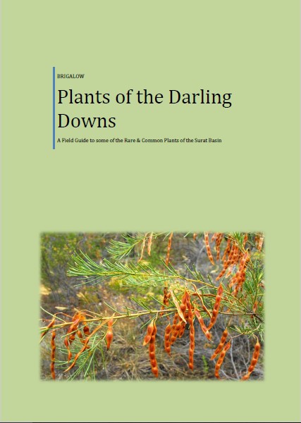 Various Plant Field guides.