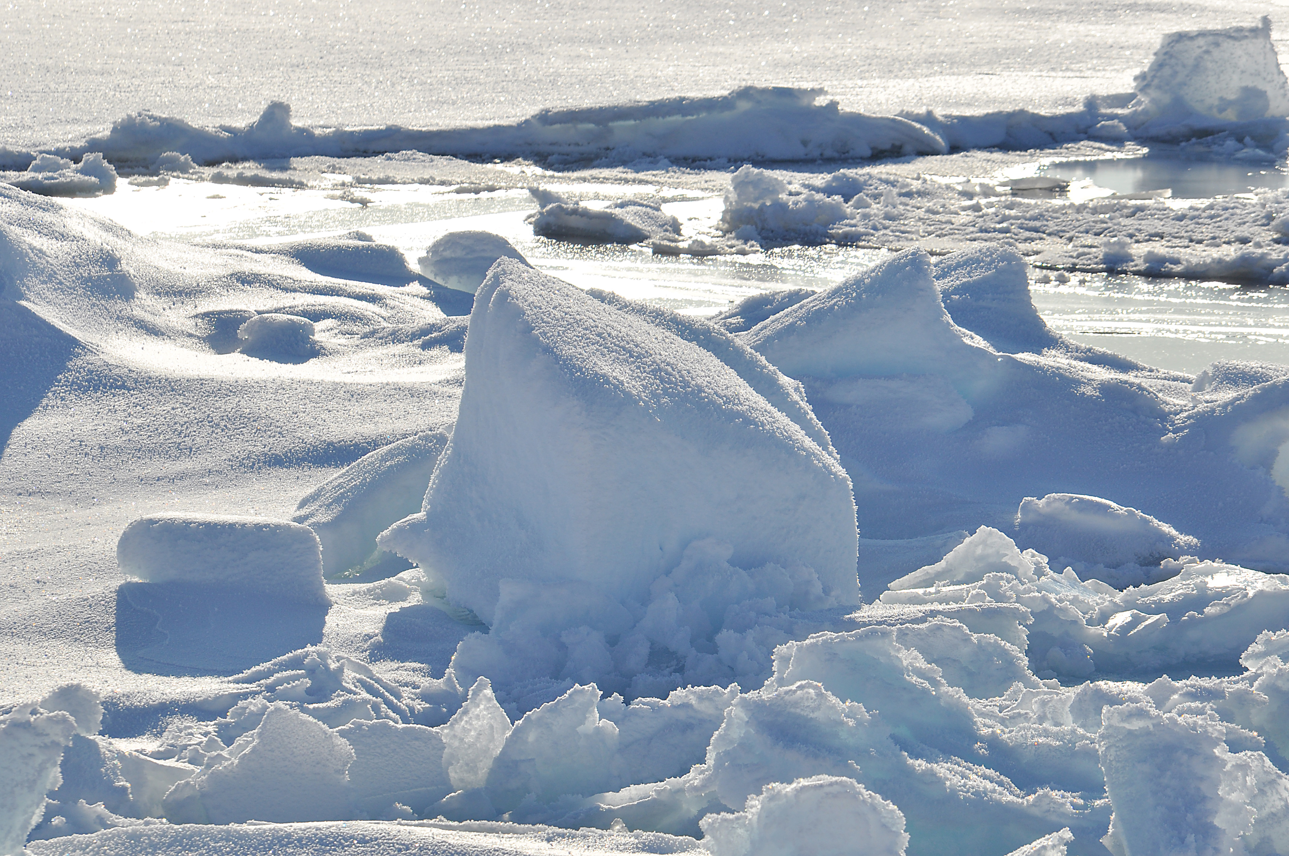 Brief respite for Arctic sea ice - environmentalresearchweb