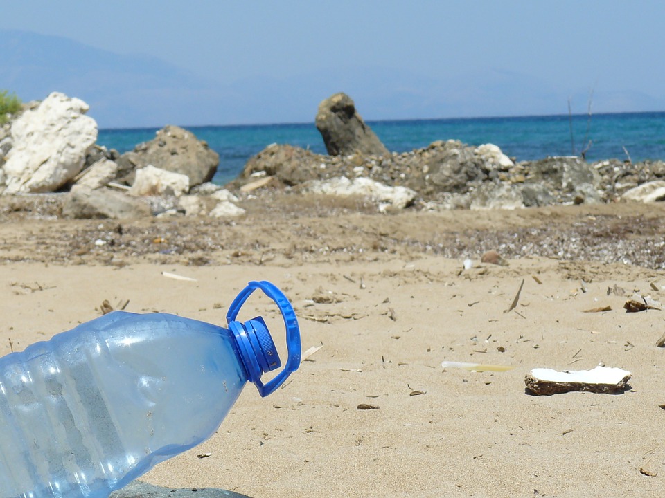 Cracking Down on Plastics - By Executive Director Julie Packard