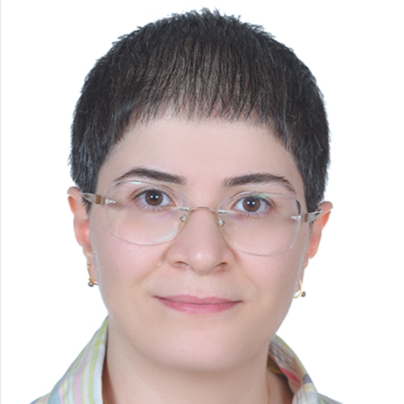 Afsanehsadat Larimi