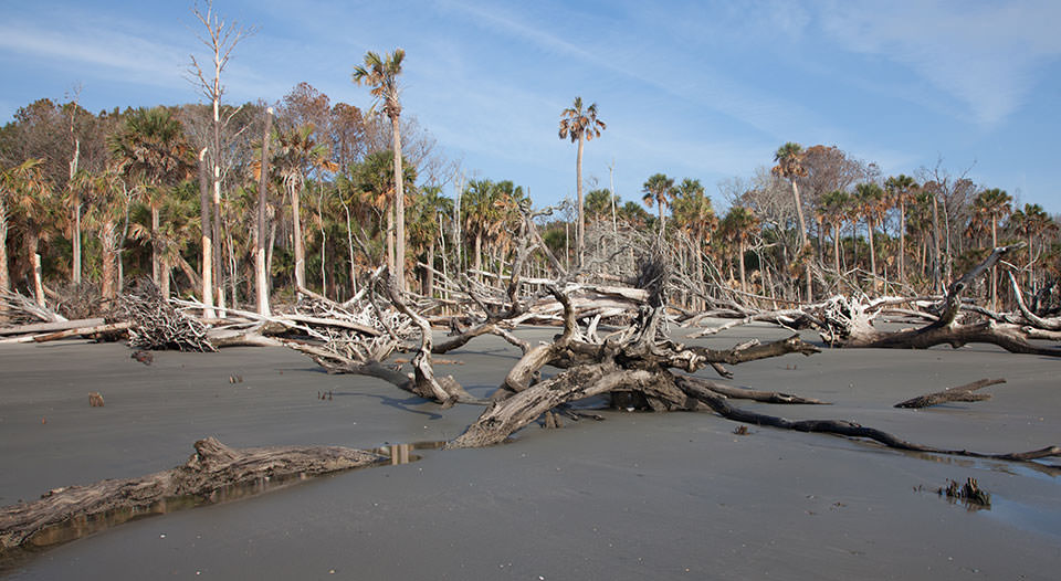 This Week in Water for May 16, 2021