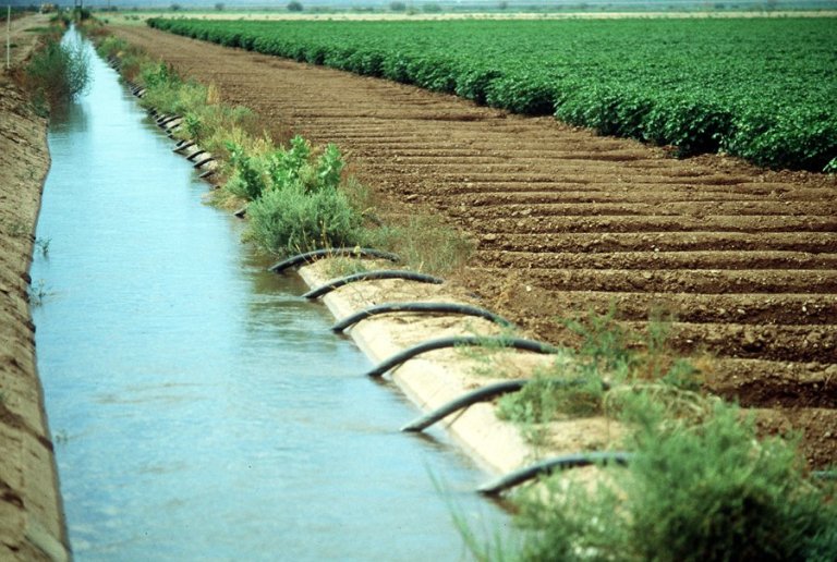 Unique Idea to Keep Irrigation Canals Clear