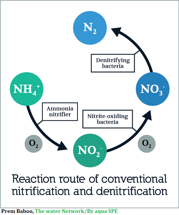 The removal of nitrogen and ...
