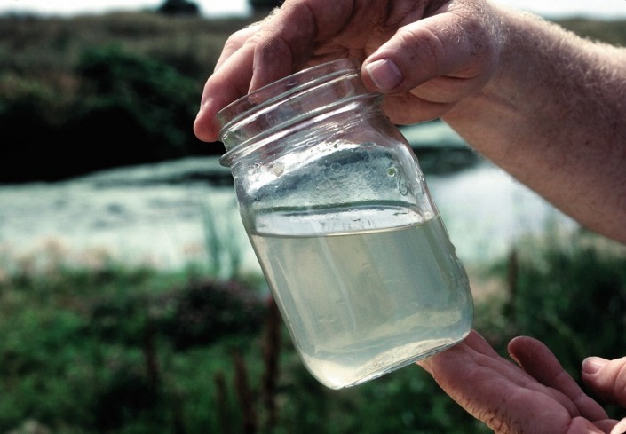 Environmental Regulations Increased Firms' Profits