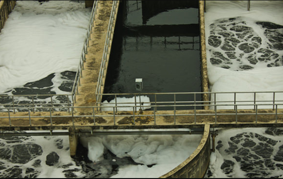 Wastewater Treatment Plants Can Become Sustainable Biorefineries