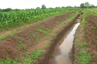 Upstream Trenches, Downstream Nitrogen