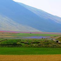 FRB CW for treatment of WW of Castelluccio di Norcia