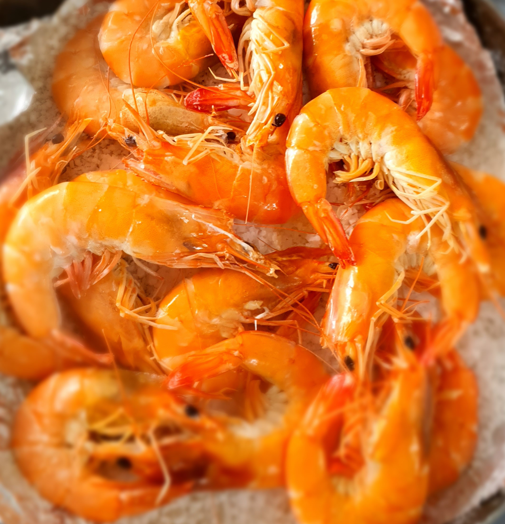 KAMI SYS - Super Intensive Indoor Shrimp Farming Technology