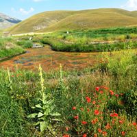 FRB CW for treatment of WW of Castelluccio di Norcia