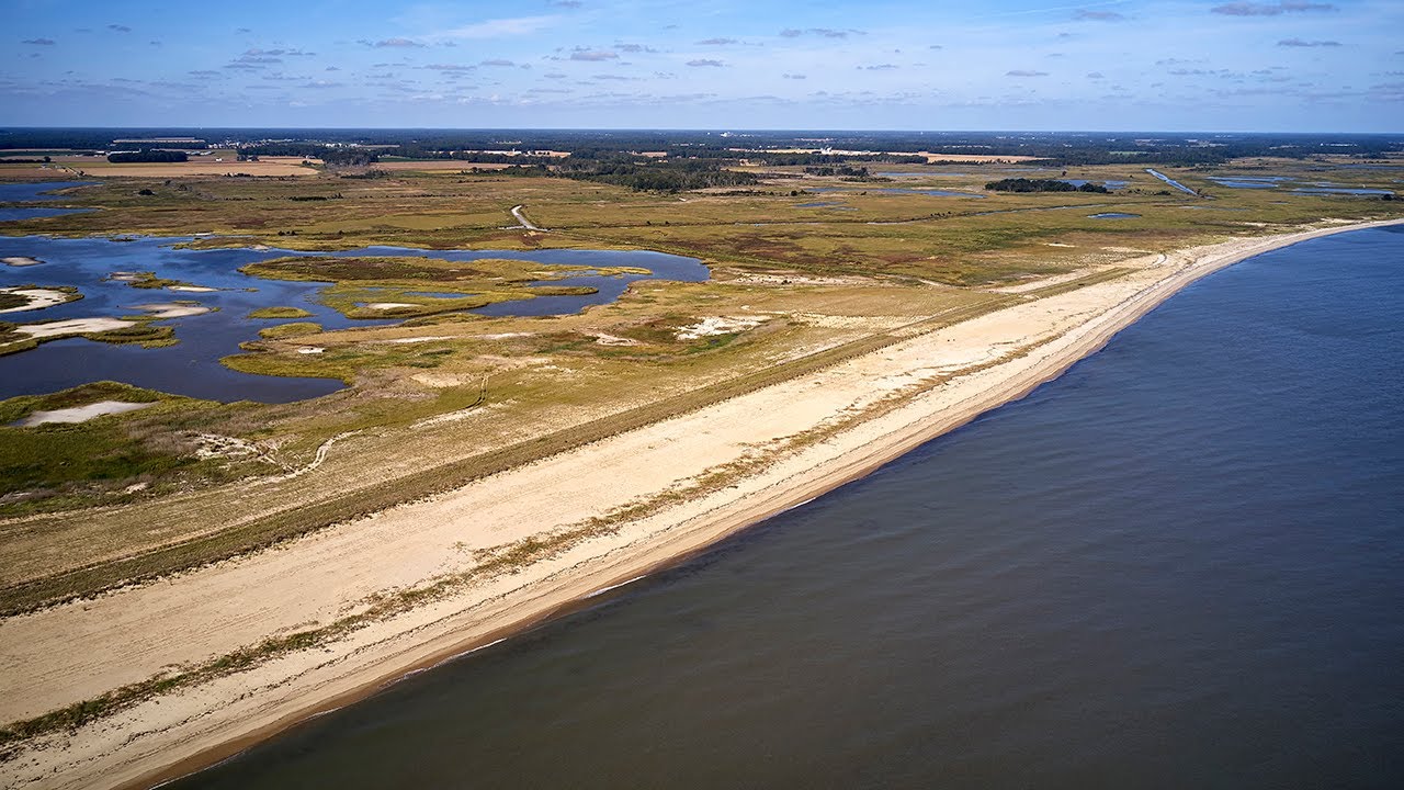 Restoration and resilience post disaster (Video)