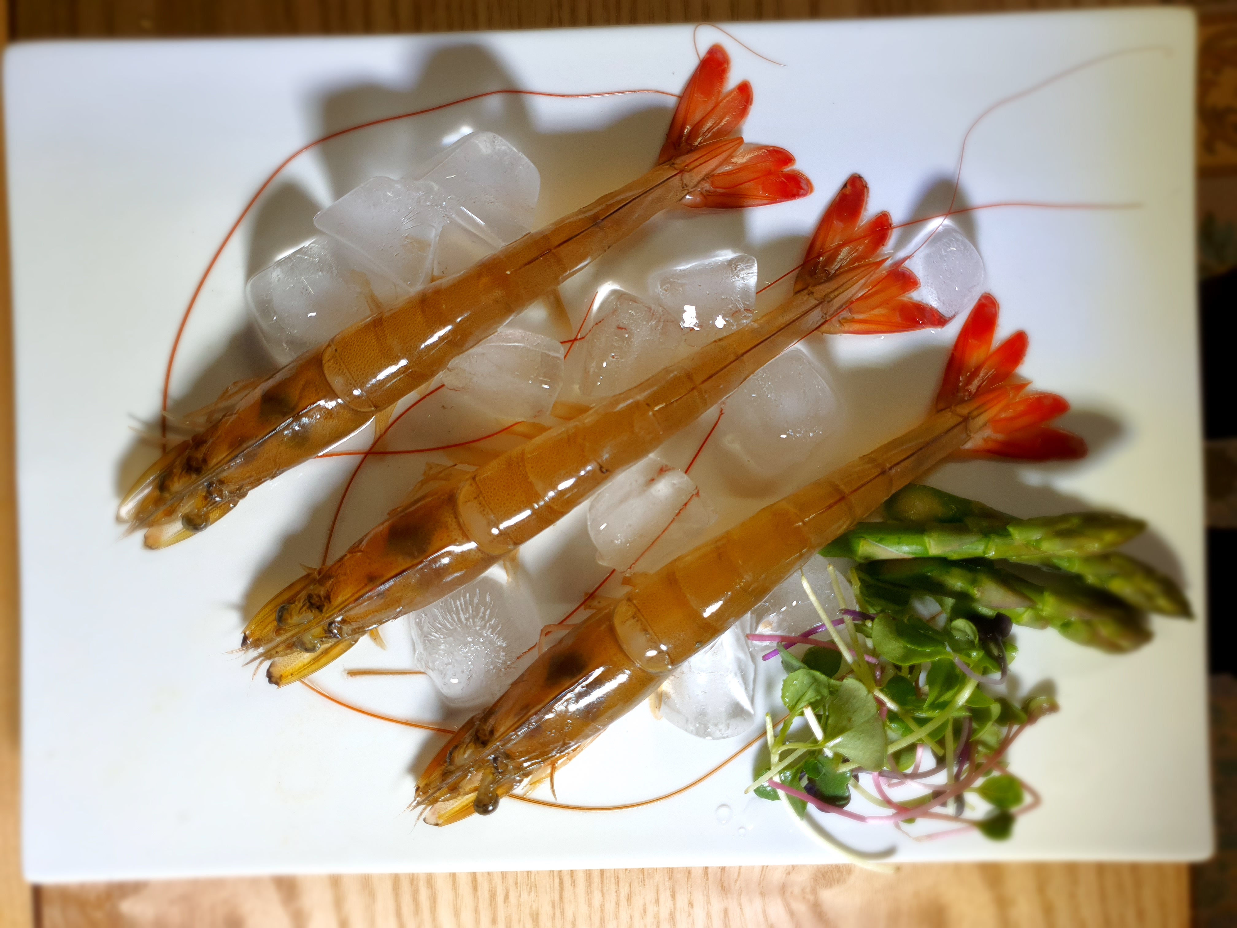 KAMI SYS - Super Intensive Indoor Shrimp Farming Technology