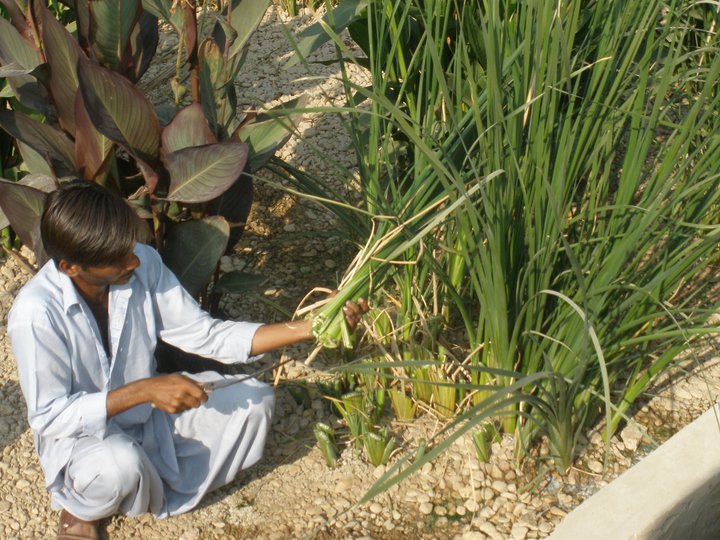 Biological wastewater Treatment System