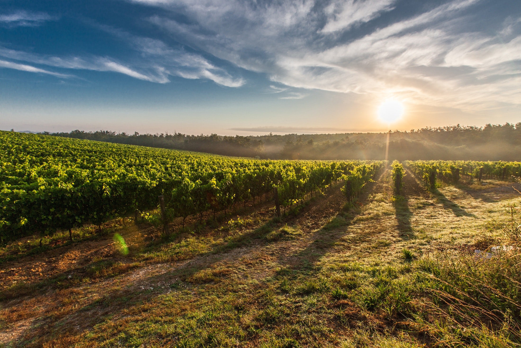 Sensus News | Washington State Municipality Puts a Cork in Non-Revenue Water with Sensus
