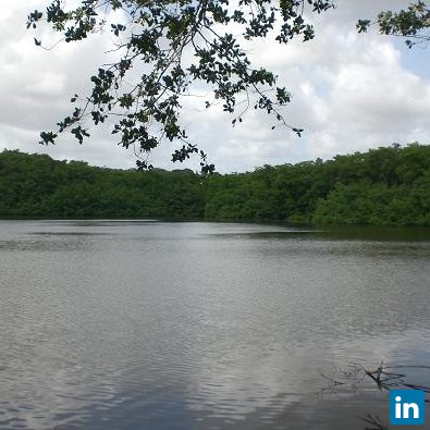 Ntek Design Solutions, Entrepreneur