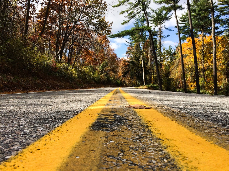 Roads Are Driving Rapid Evolutionary Change in Our Environment