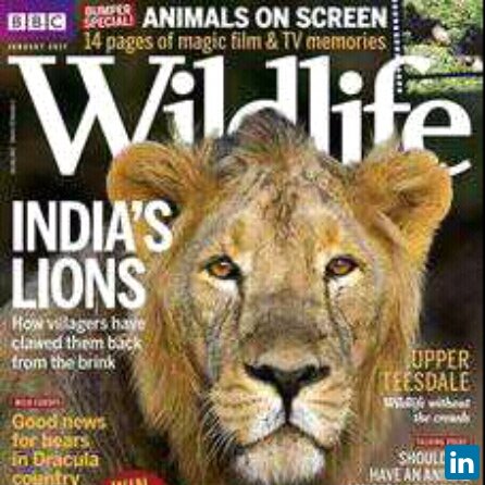 Mahesh Trivedi, Forest Range officer 