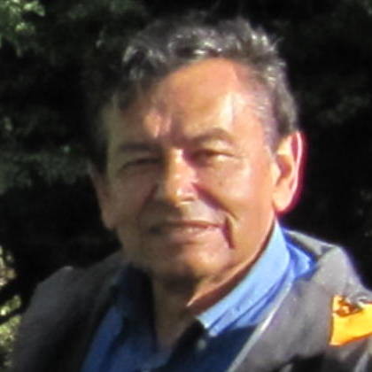 José Serra Vega, Consultor en energía y medio ambiente