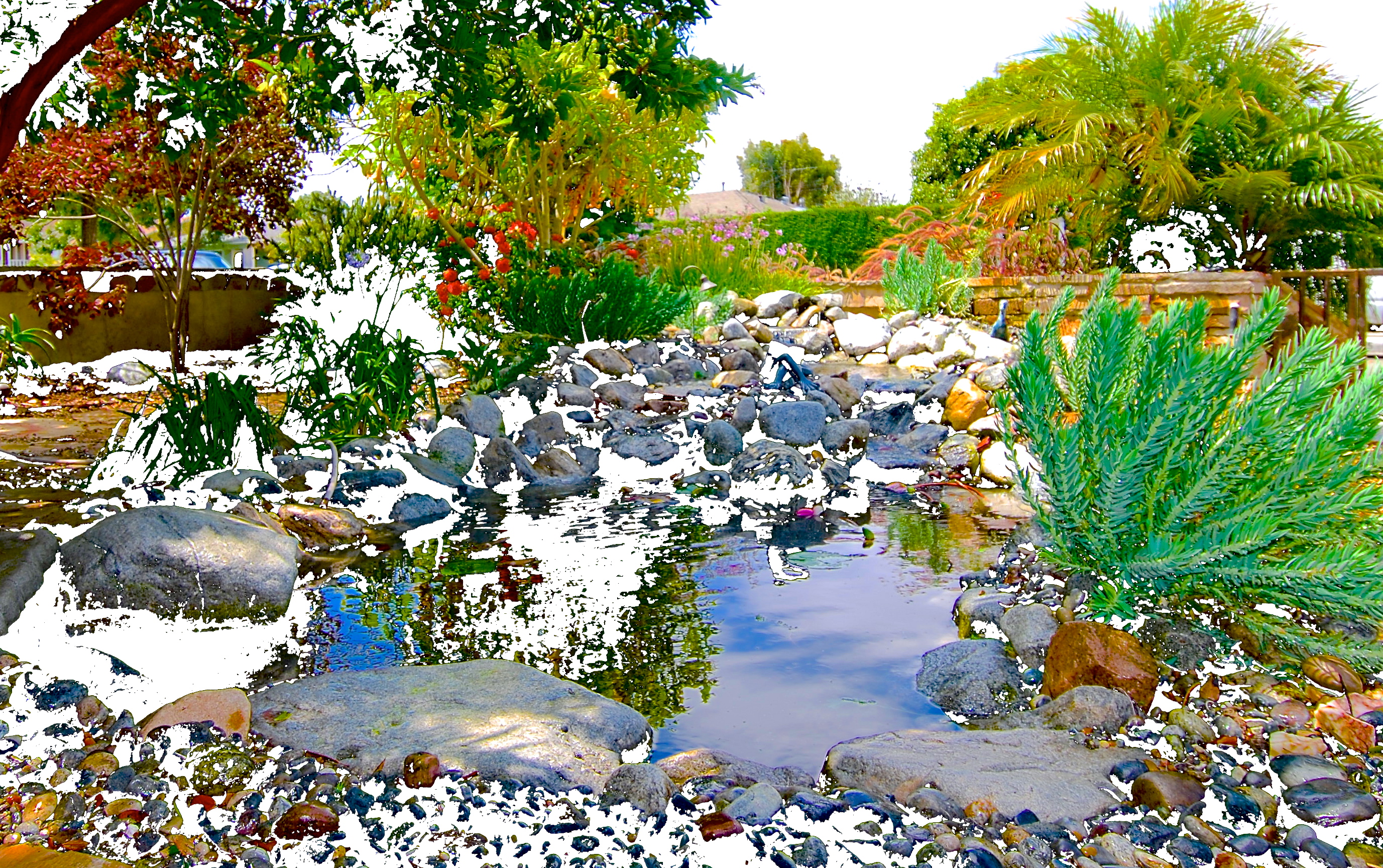 Mike Garcia, EnviroscapeLA - Founder