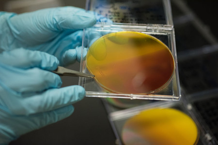 New Materials Could Turn Water into the Fuel of the Future