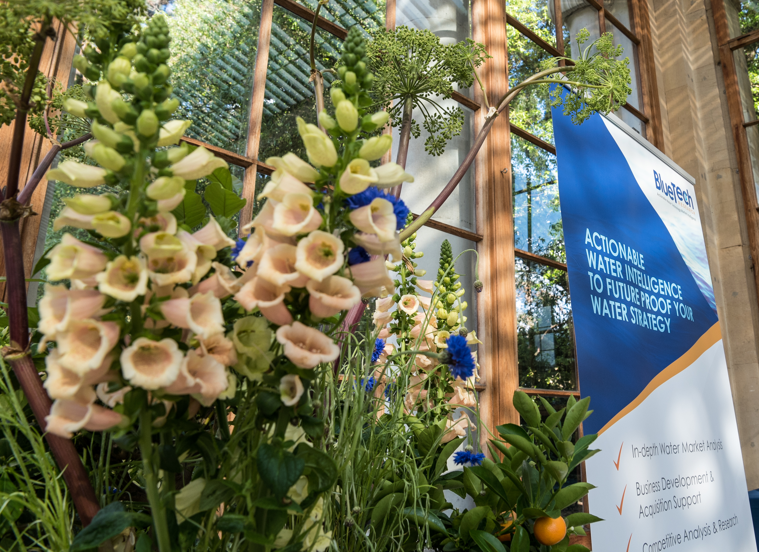 BlueTech Forum 2019