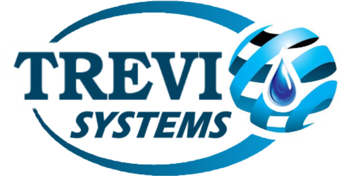 Aneliese Ramsay, Trevi Systems  - Client Marketing Specialist