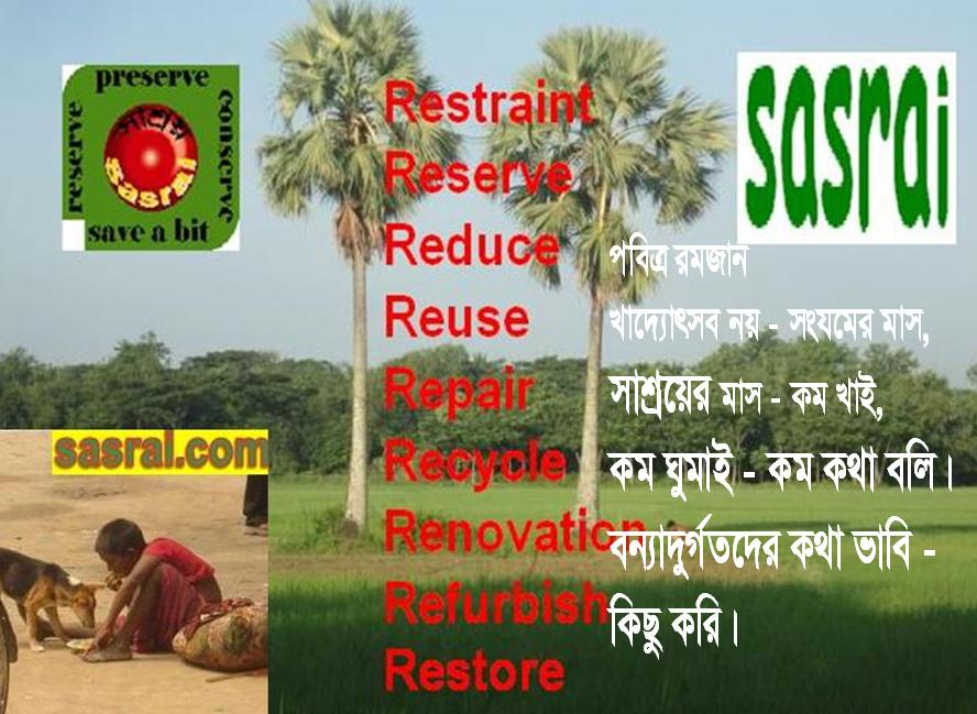 “sasrai-Movement” Pope’s “bold cultural revolution” 