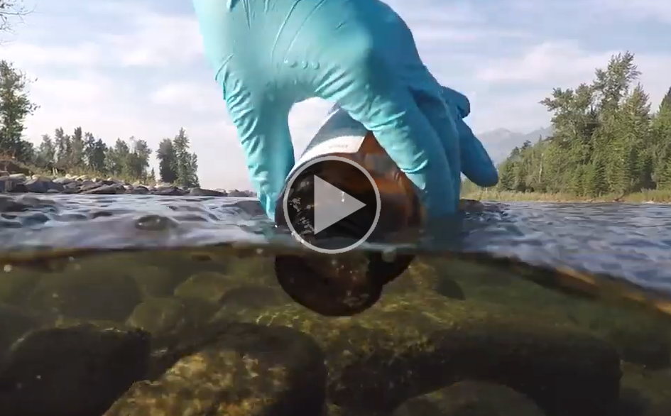 The Use of Saturated Rock Fills in Water Treatment (Video)