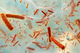 Biofilm detection and prevention of related issues