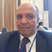 Atef Nassar, atef_nassar@hotmail.com